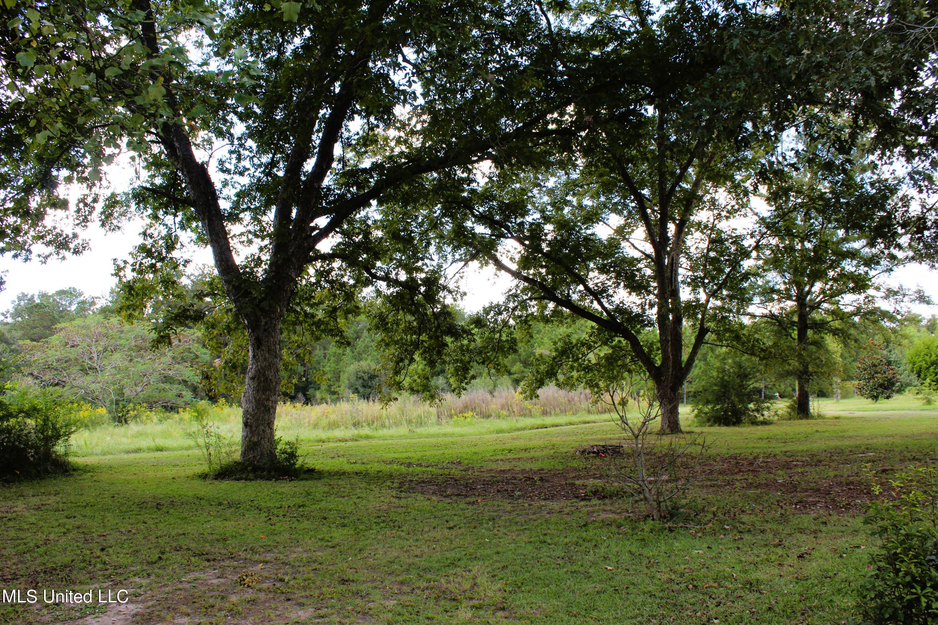 128 Harvey Road Lucedale, MS 39452 - Photo 5 of 16 IMG_9288