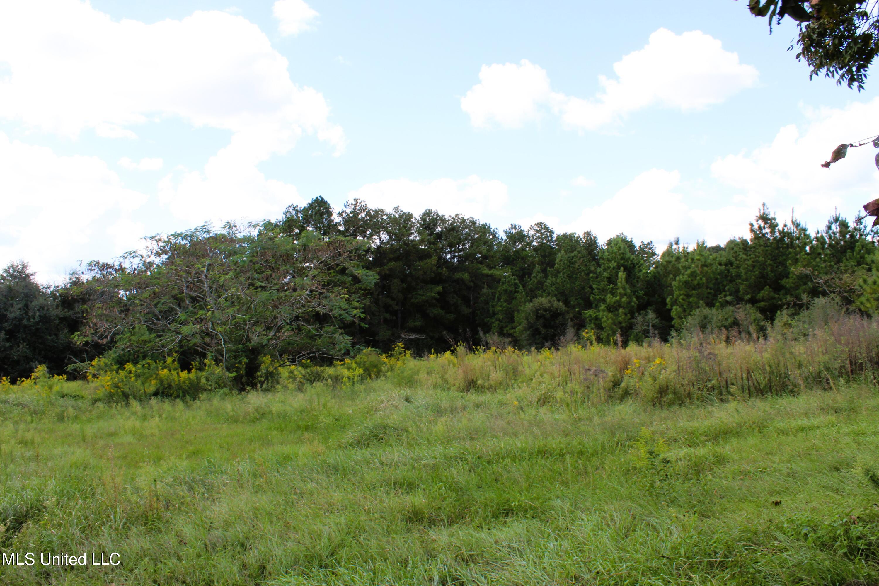 128 Harvey Road Lucedale, MS 39452 - Photo 8 of 16 IMG_9291
