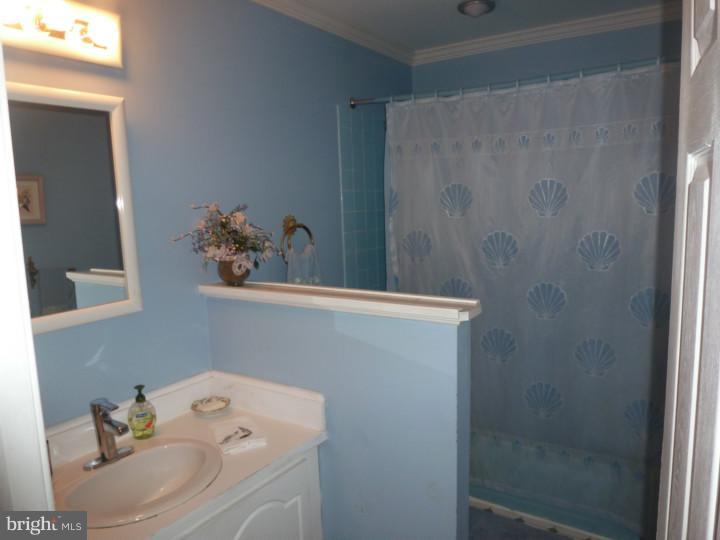 188 Canterbury Road Mount Laurel, NJ 08054 - Photo 17 of 25 Bathroom