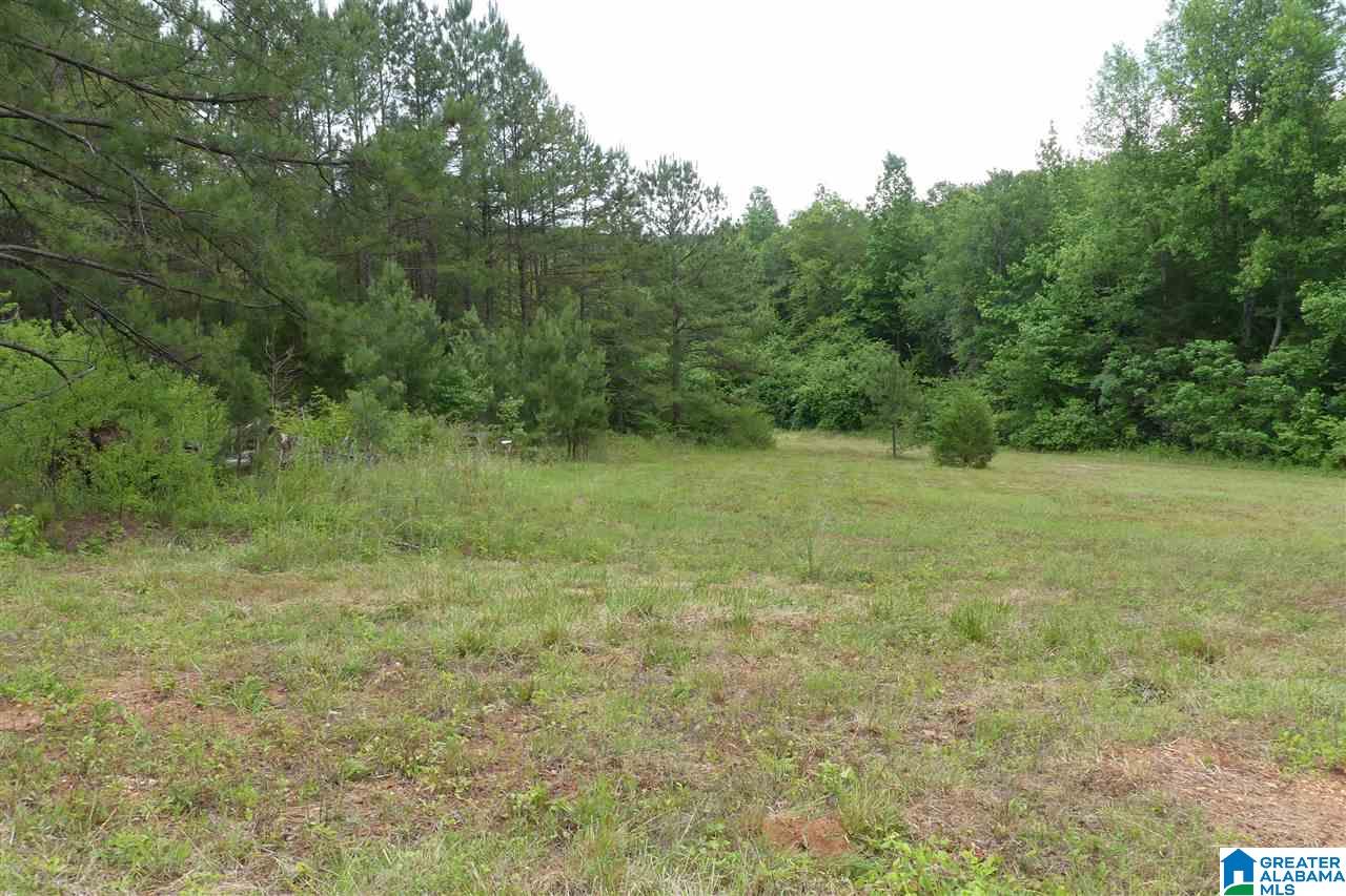 3036 County Road 7 Wedowee, AL 36278 - Photo 13 of 17