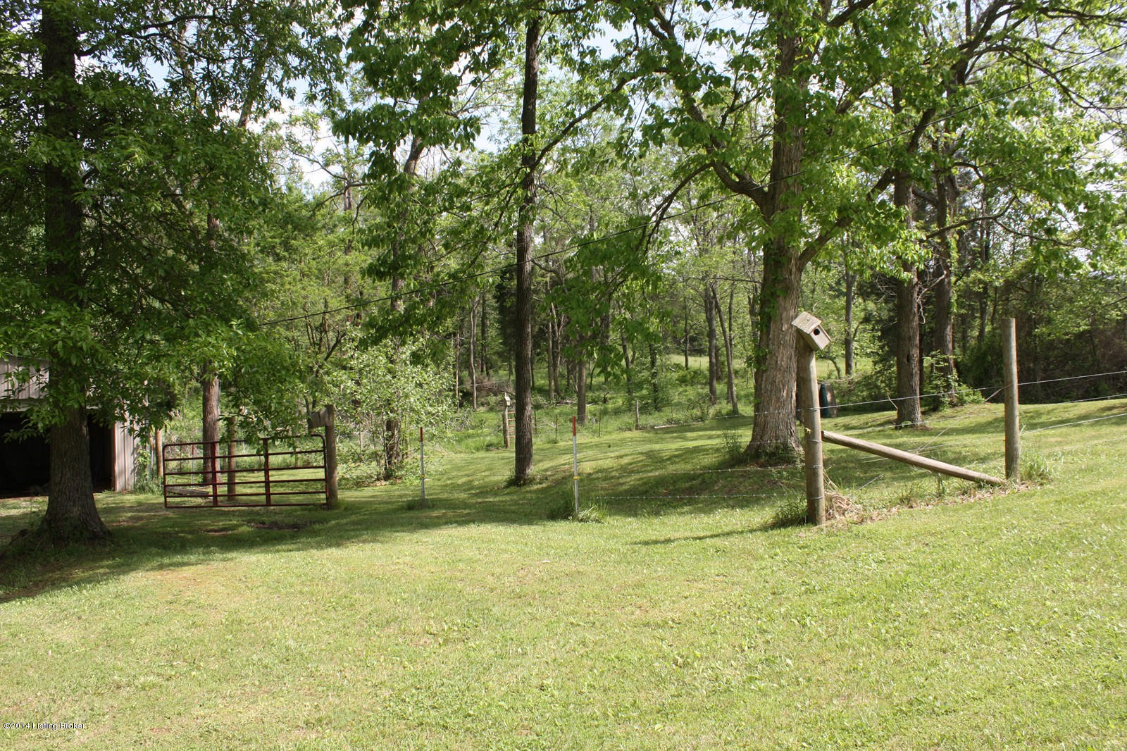 350 Milan Road Brandenburg, KY 40108 - Photo 5 of 31 IMG_0265