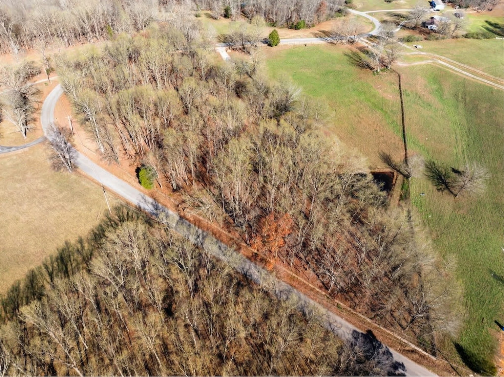 1103 Cowan Road Dickson, TN 37055 - Photo 8 of 13 Gallery Image 8
