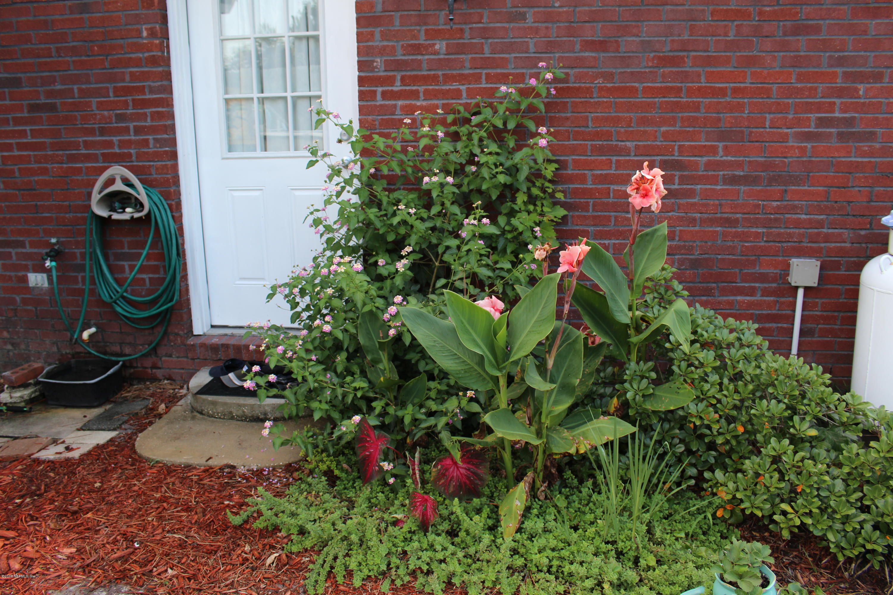 3872 Darlene Road Middleburg, FL 32068 - Photo 60 of 88 IMG_2365