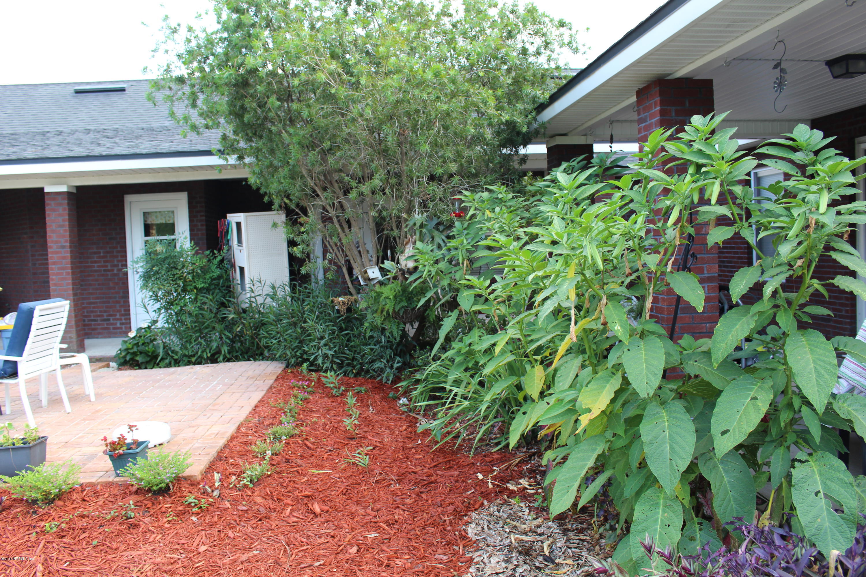 3872 Darlene Road Middleburg, FL 32068 - Photo 63 of 88 IMG_2368