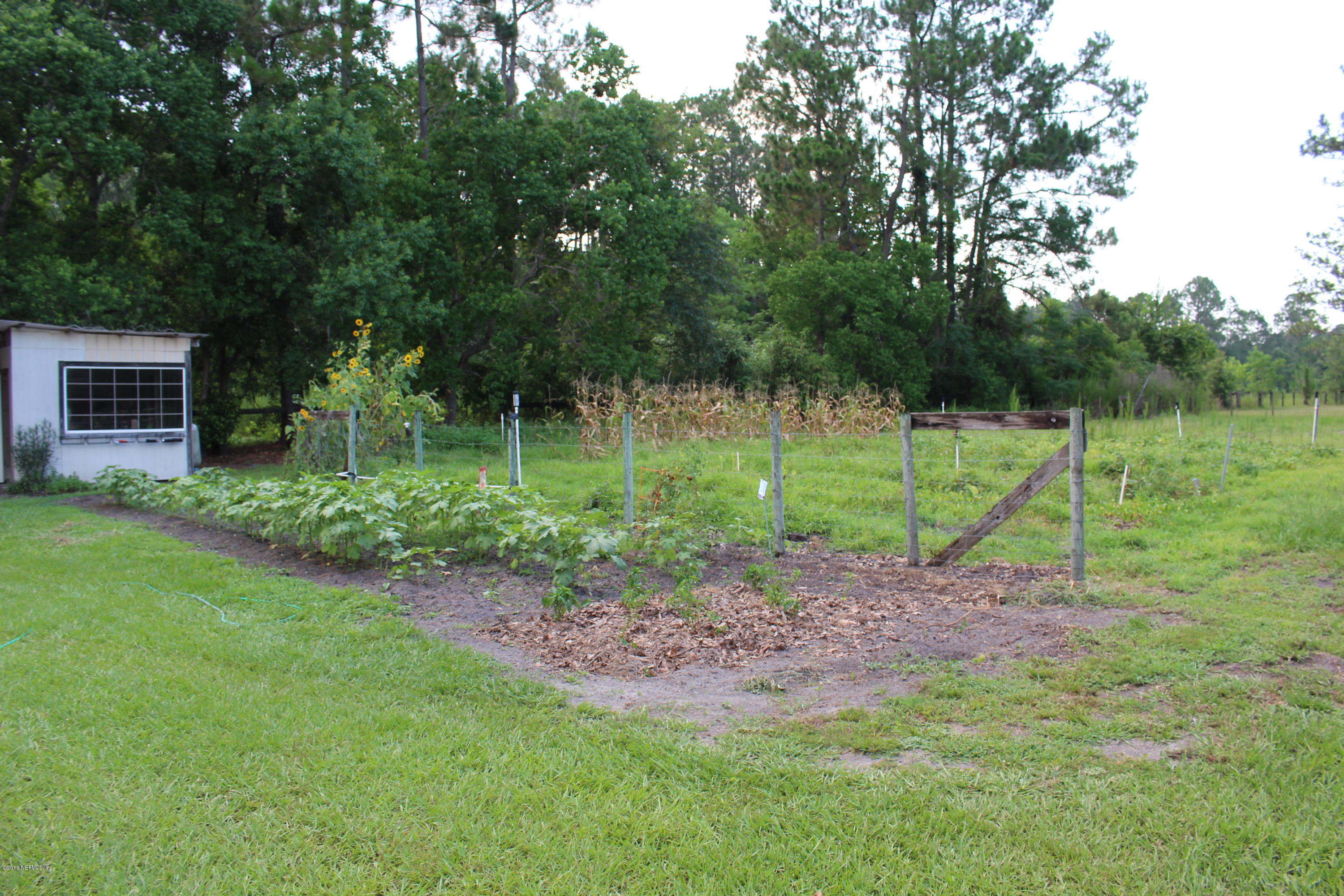 3872 Darlene Road Middleburg, FL 32068 - Photo 64 of 88 IMG_2369