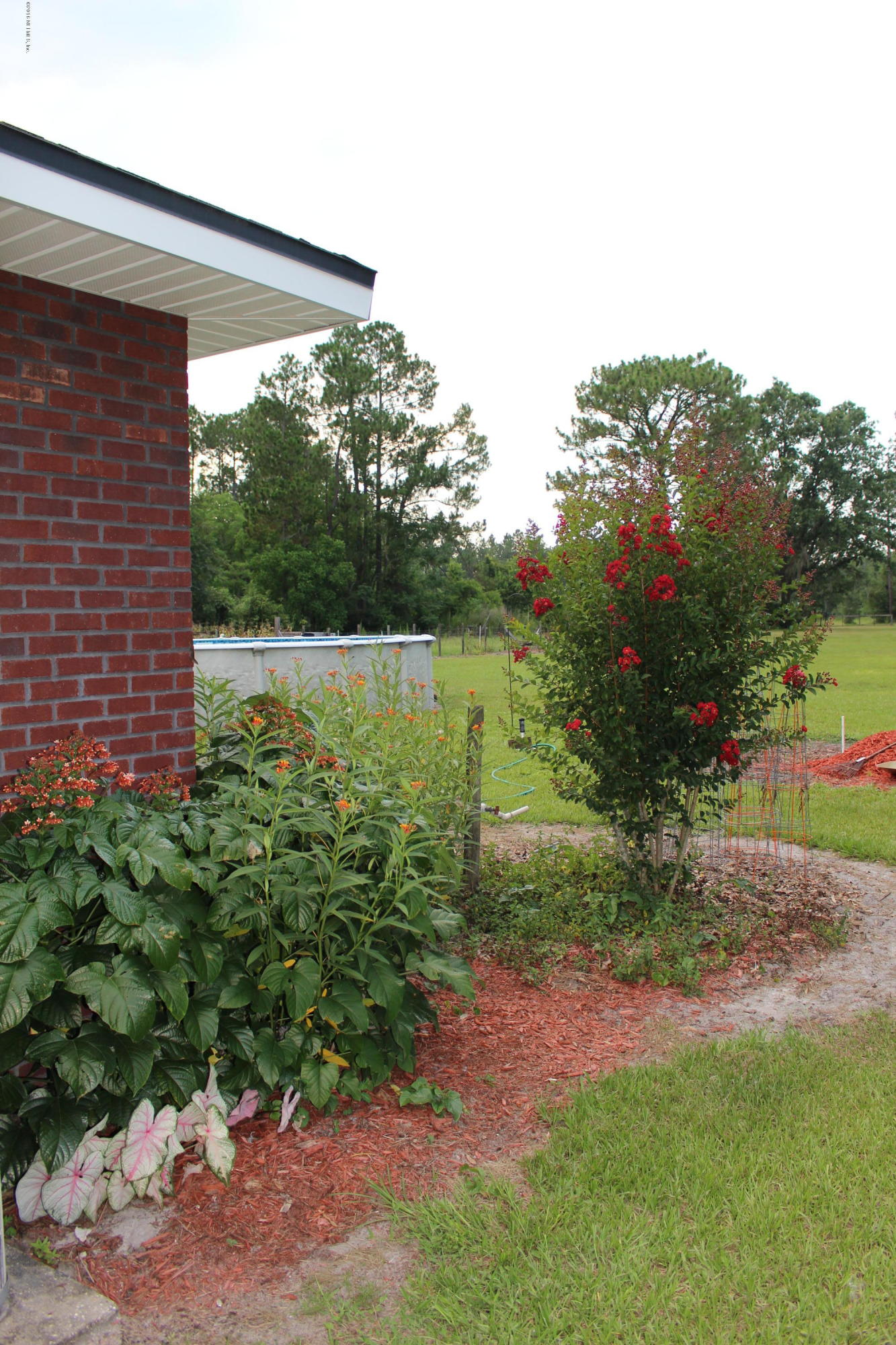 3872 Darlene Road Middleburg, FL 32068 - Photo 72 of 88 IMG_2385