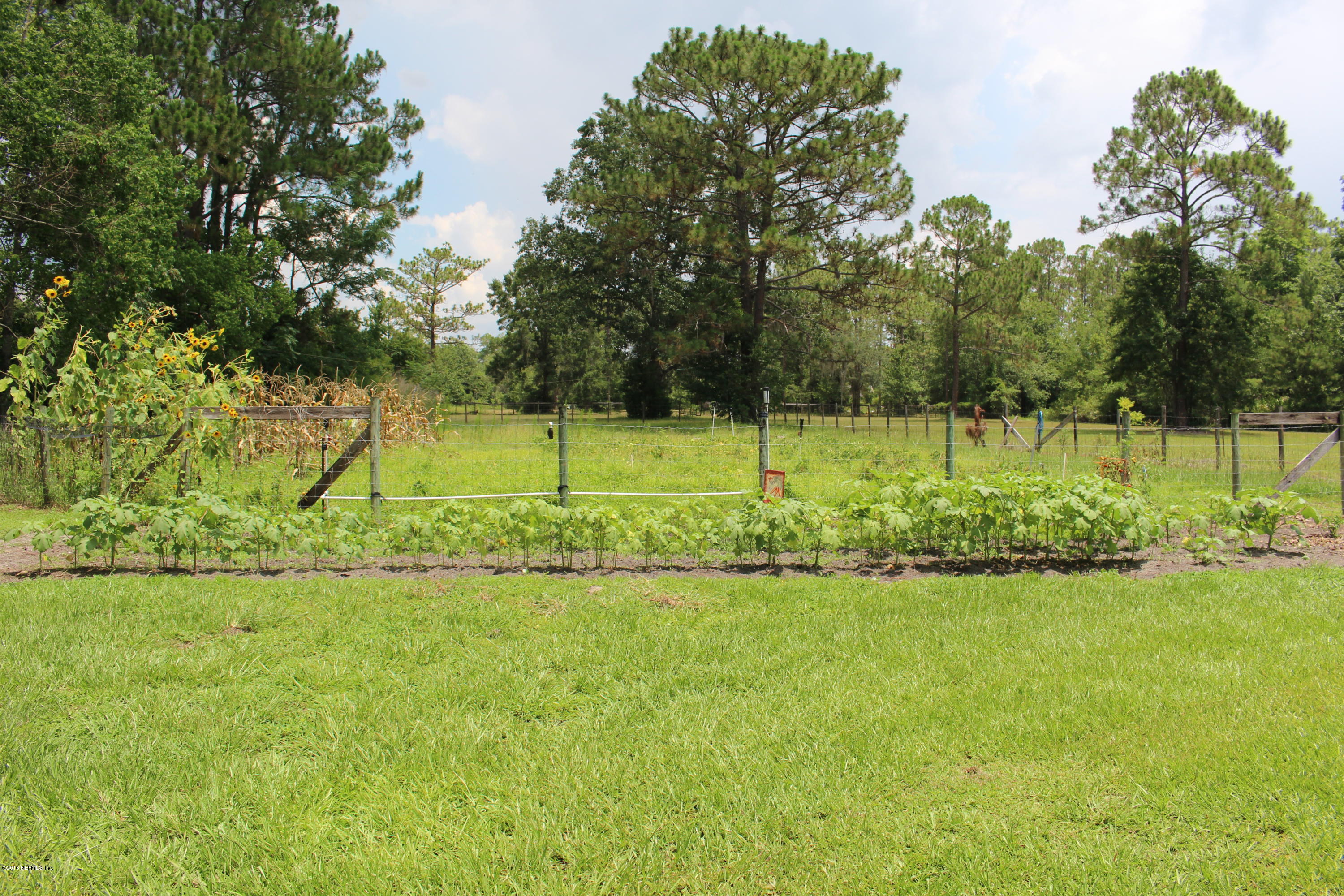 3872 Darlene Road Middleburg, FL 32068 - Photo 77 of 88 IMG_2394