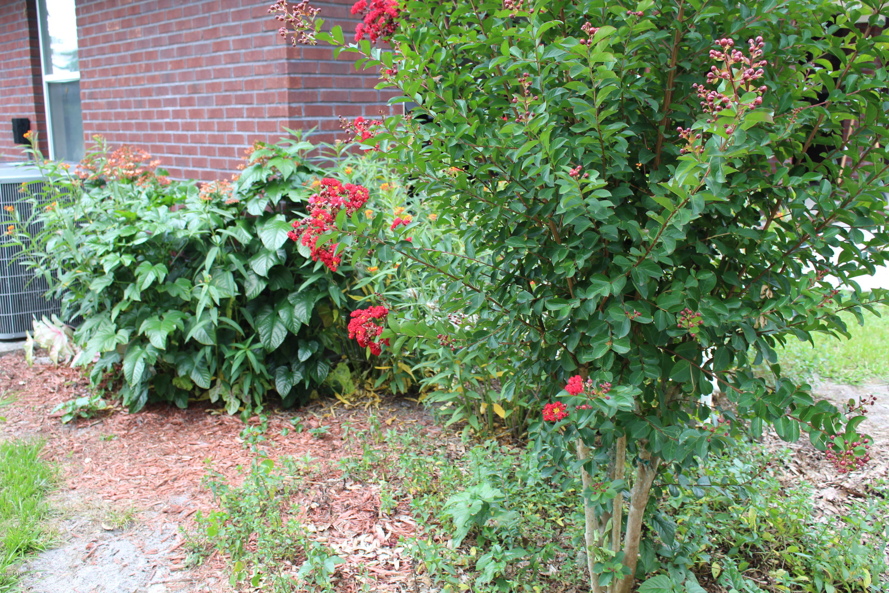 3872 Darlene Road Middleburg, FL 32068 - Photo 82 of 88 IMG_2404
