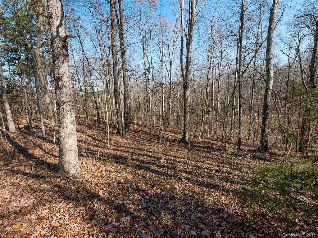 14807 Autumncrest Road Huntersville, NC 28078 - Photo 3 of 13 Gallery Image 3