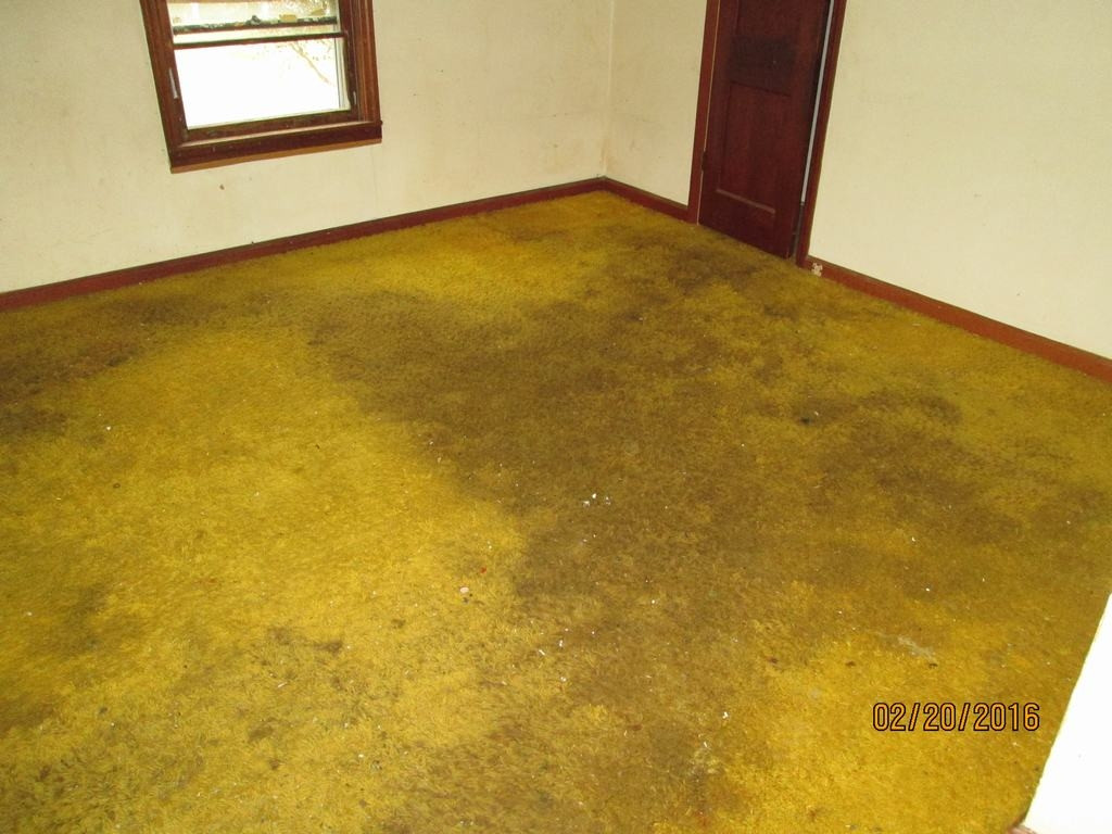 237 Washington College Station Road Limestone, TN 37681 - Photo 6 of 11 BEDROOM 1