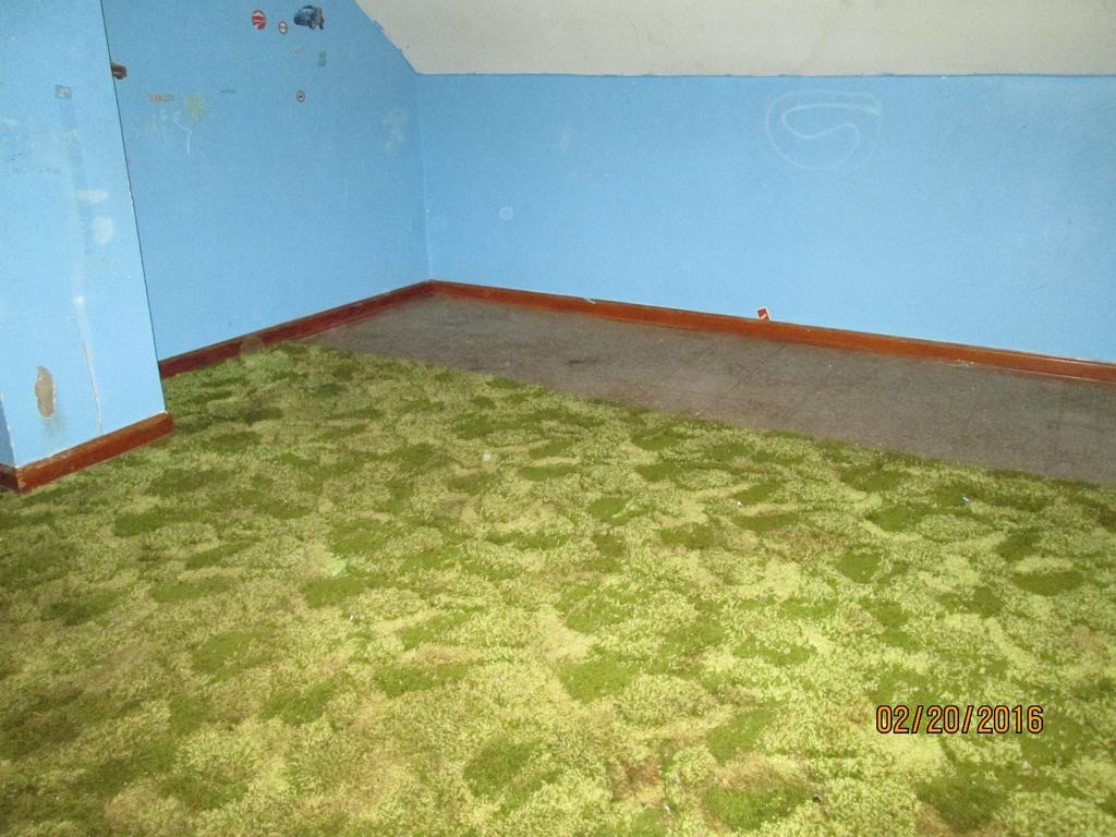 237 Washington College Station Road Limestone, TN 37681 - Photo 7 of 11 BEDROOM 2