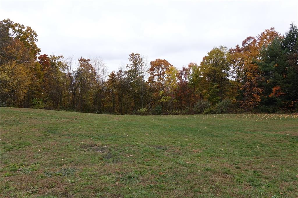 504 Chicora Road Butler, PA 16001 - Photo 22 of 24 Picturesque 3.8 acres (Rear Yard)