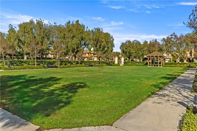 a view of a park with large trees