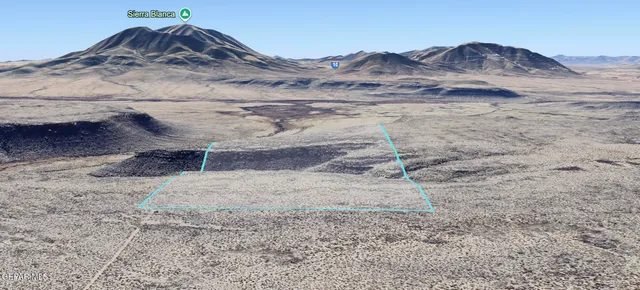 a view of a dry yard