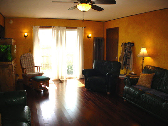 902 Lakeview Drive Rochelle, IL 61068 - Photo 2 of 10 a living room with furniture and a chandelier