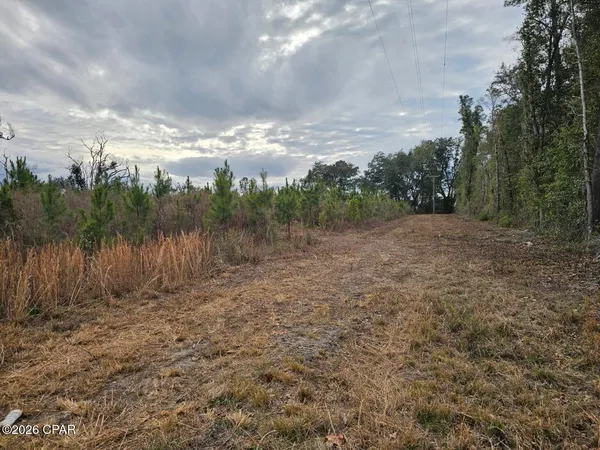 $68,100 | Tbd Lovewood Road, Cottondale, FL 32431