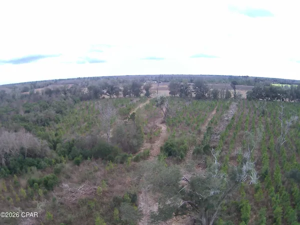 $68,100 | Tbd Lovewood Road, Cottondale, FL 32431