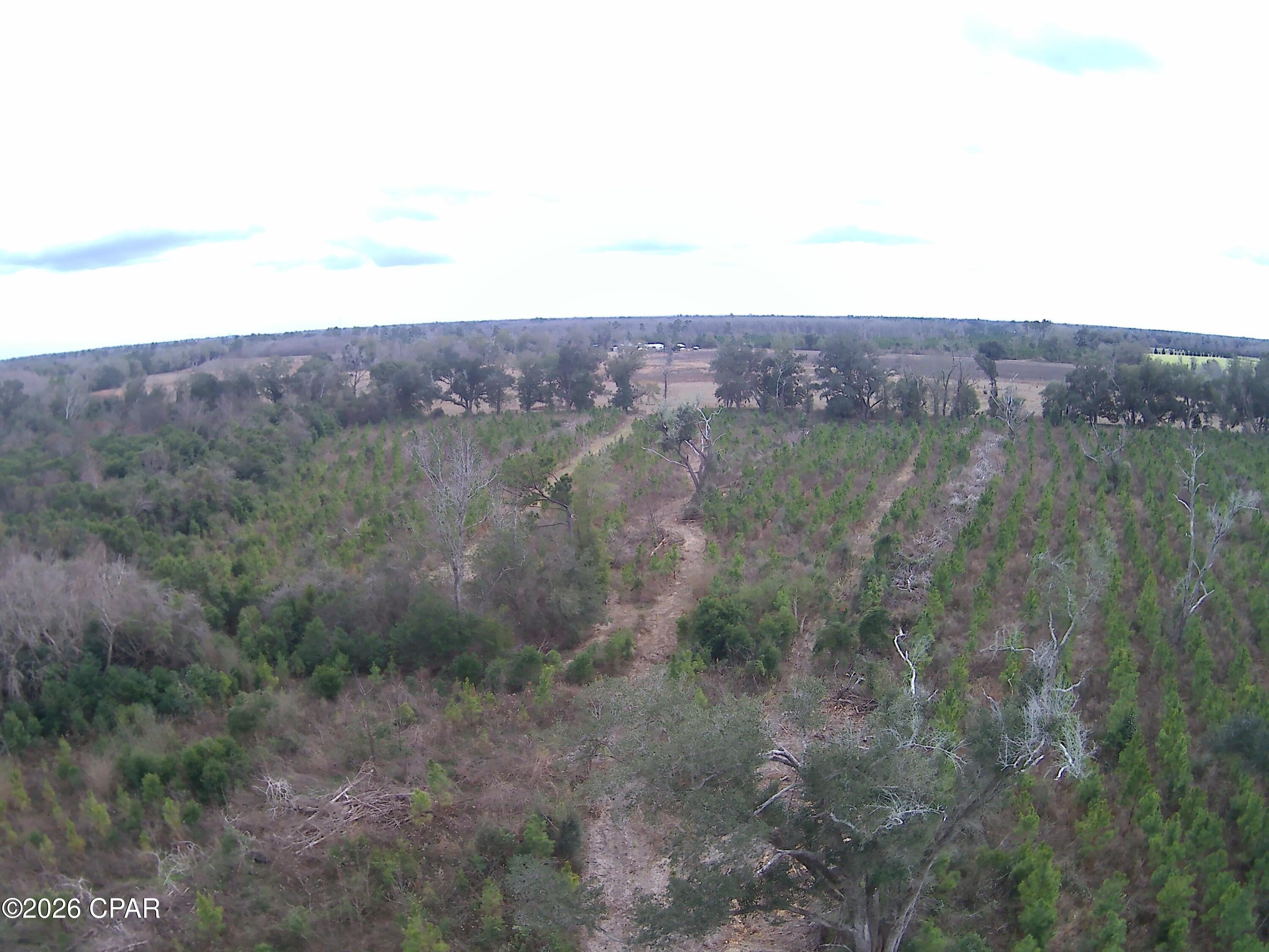 Tbd Lovewood Road Cottondale, FL 32431 - Photo 13 of 26