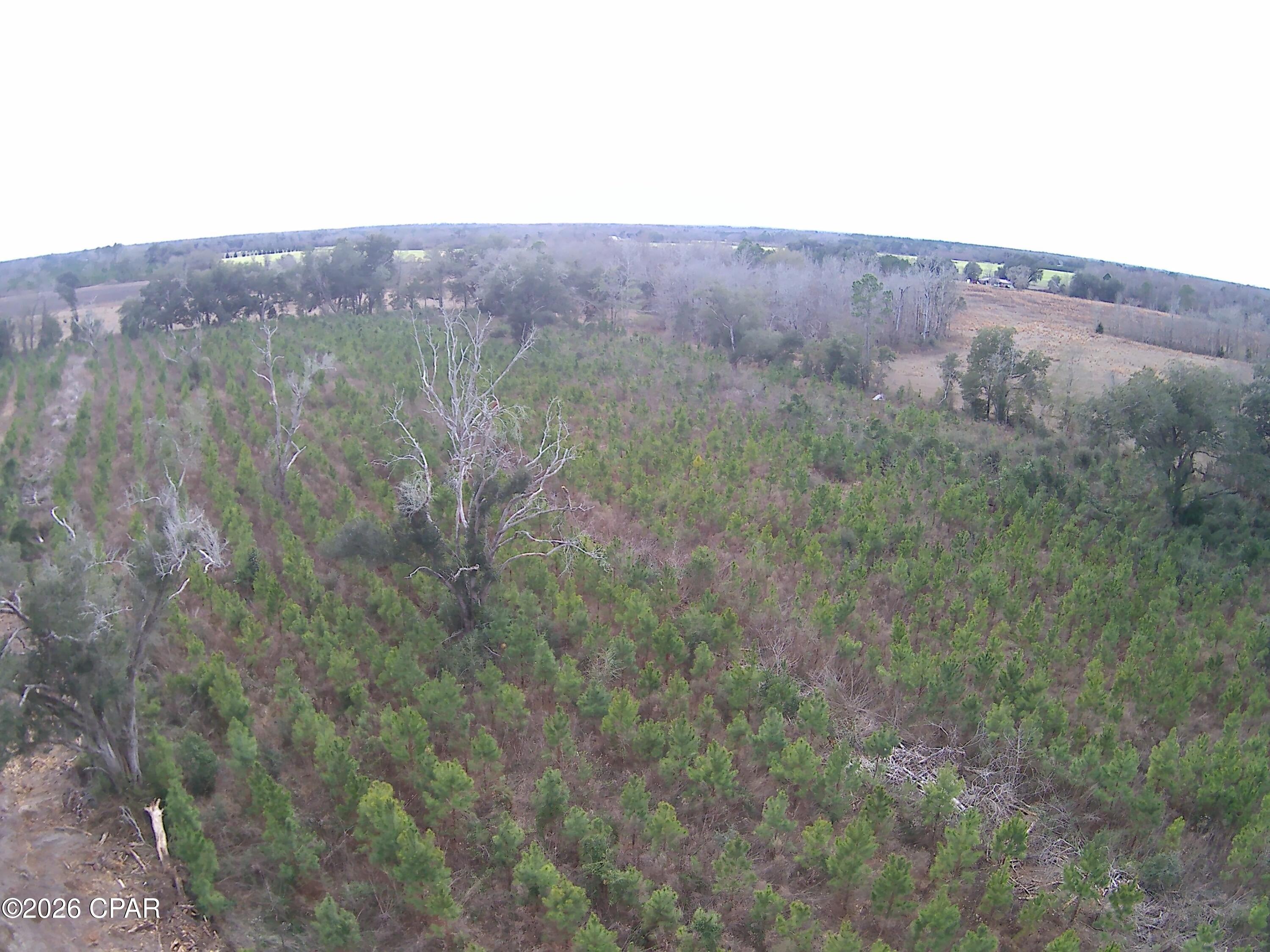 Tbd Lovewood Road Cottondale, FL 32431 - Photo 14 of 26