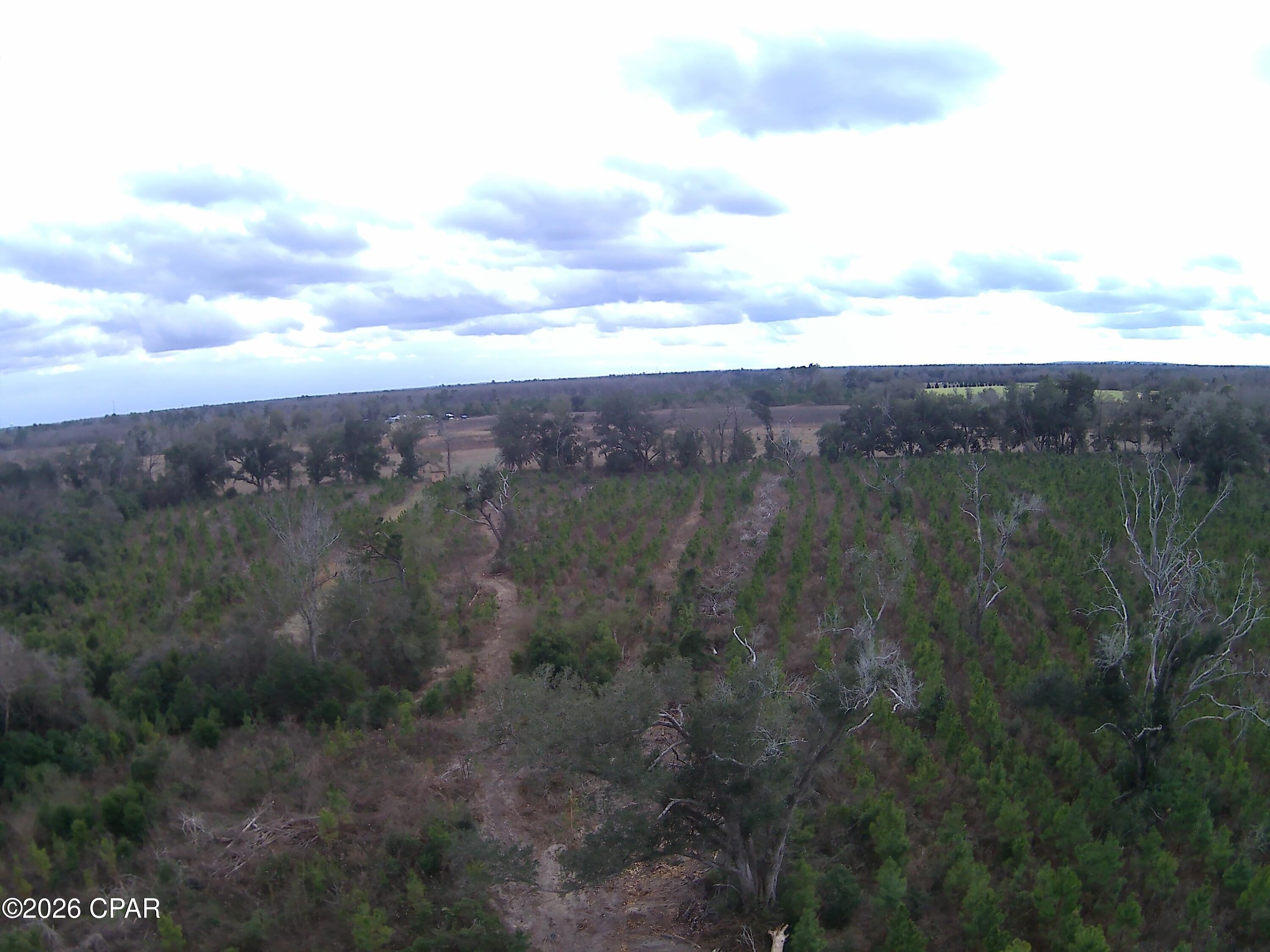 Tbd Lovewood Road Cottondale, FL 32431 - Photo 15 of 26