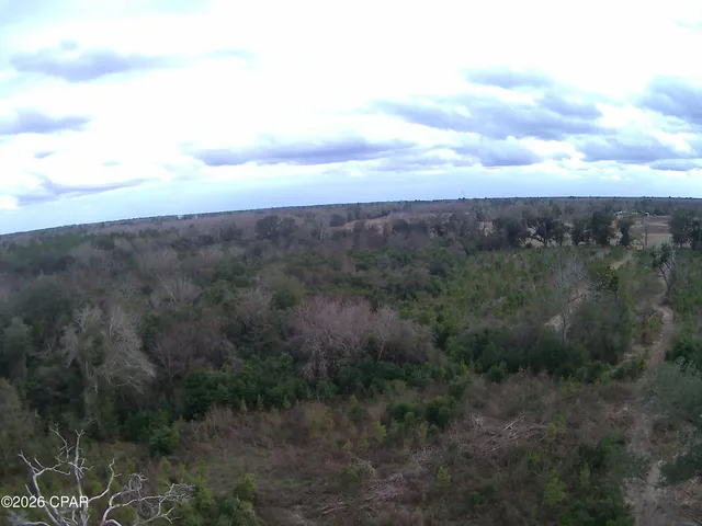 $80,812 | Tbd Lovewood Road, Cottondale, FL 32431