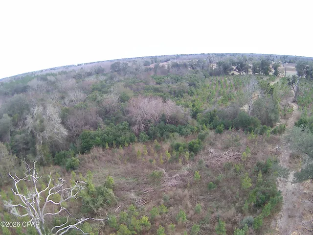 $80,812 | Tbd Lovewood Road, Cottondale, FL 32431