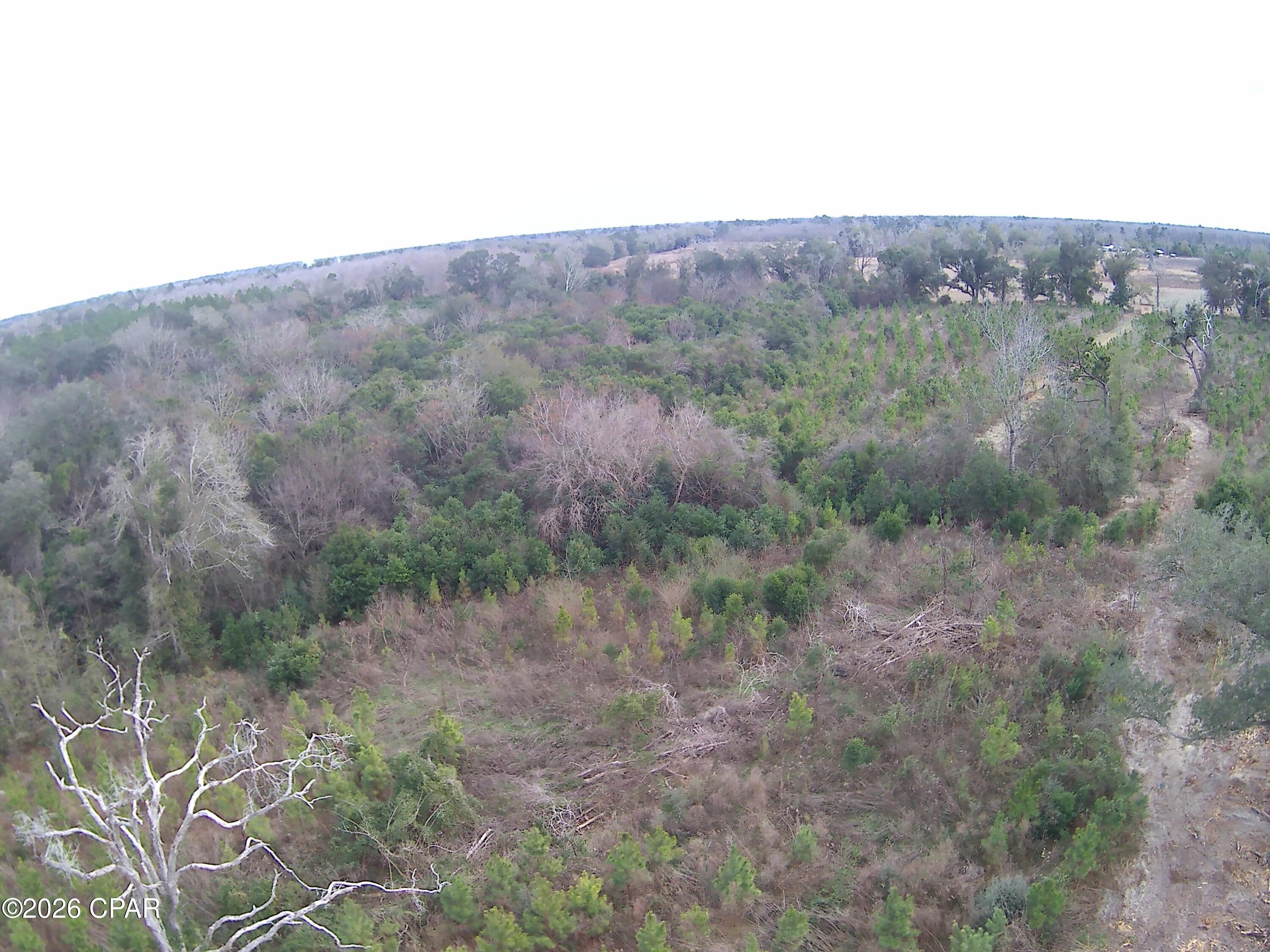 Tbd Lovewood Road Cottondale, FL 32431 - Photo 17 of 26