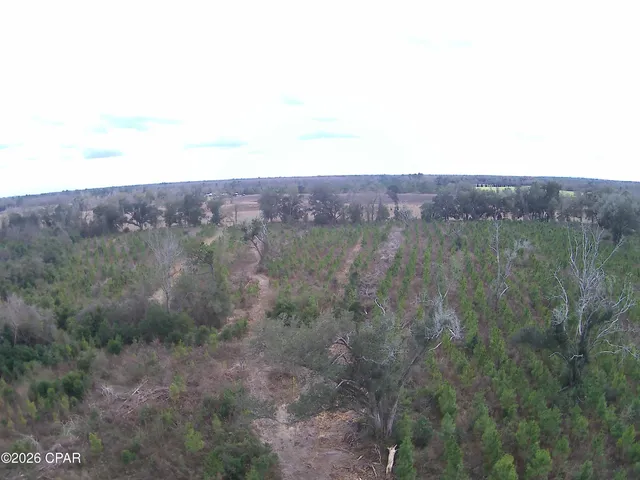 $80,812 | Tbd Lovewood Road, Cottondale, FL 32431