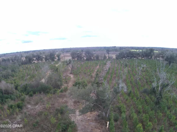 $68,100 | Tbd Lovewood Road, Cottondale, FL 32431