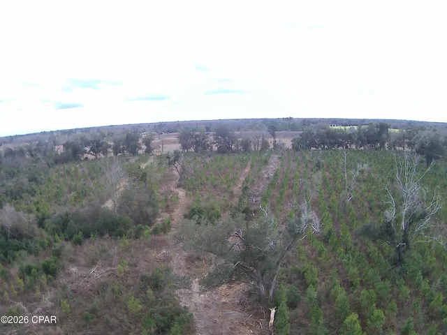 $80,812 | Tbd Lovewood Road, Cottondale, FL 32431