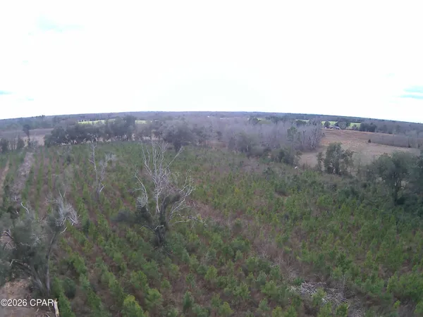 $68,100 | Tbd Lovewood Road, Cottondale, FL 32431