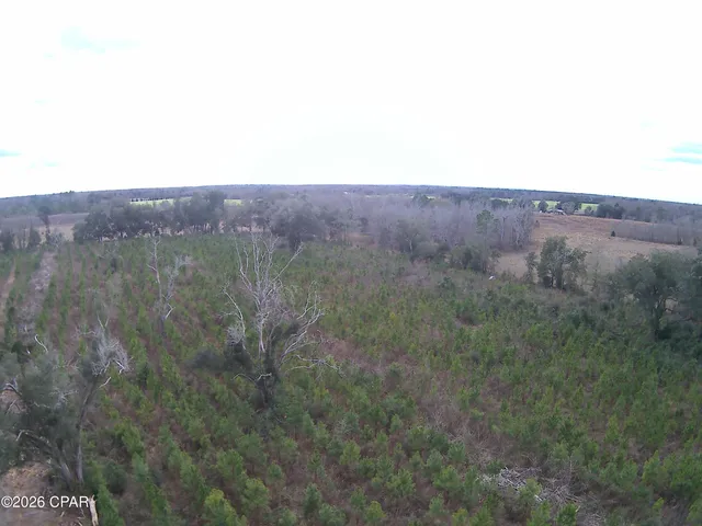 $80,812 | Tbd Lovewood Road, Cottondale, FL 32431