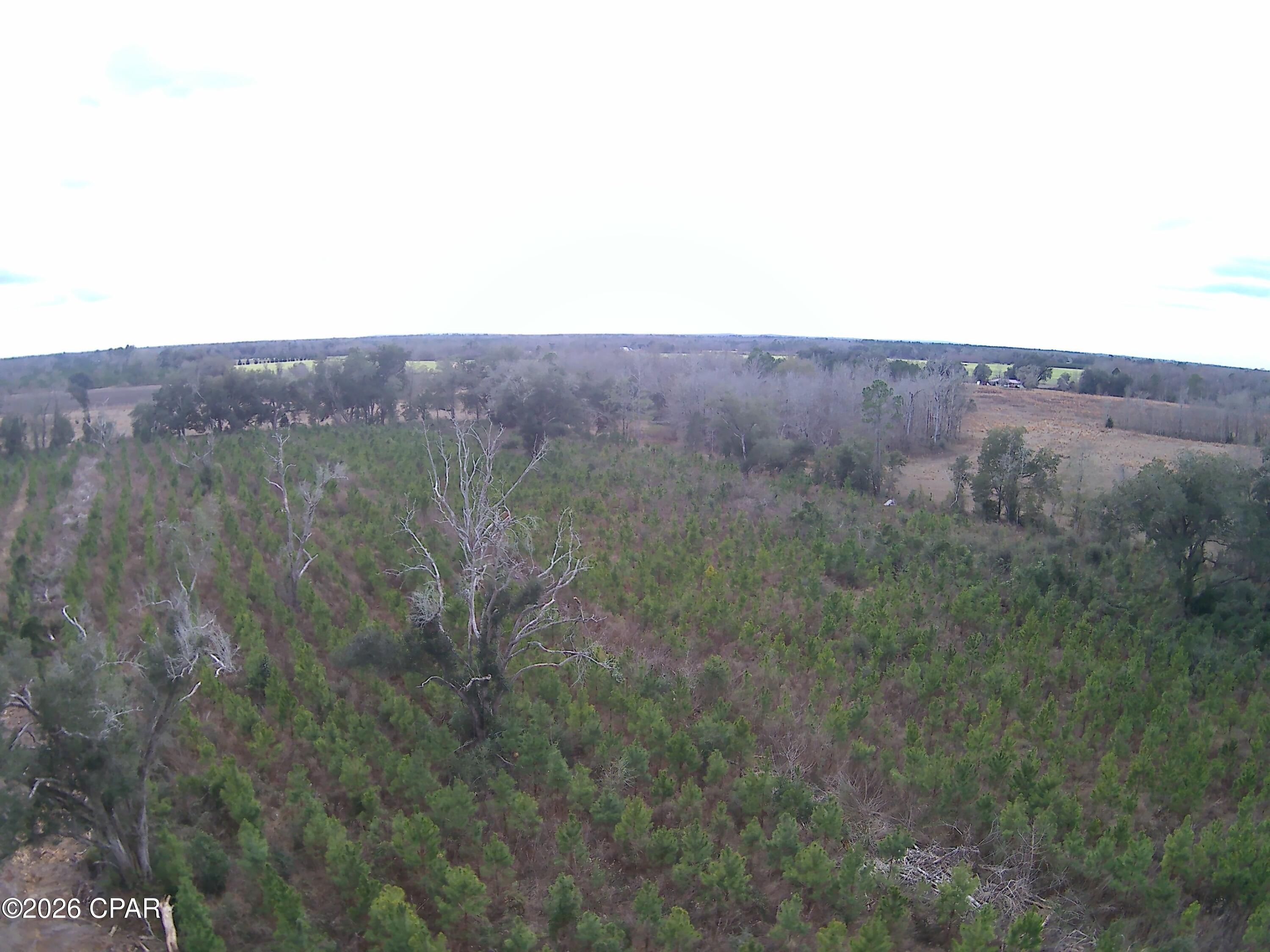 Tbd Lovewood Road Cottondale, FL 32431 - Photo 21 of 26