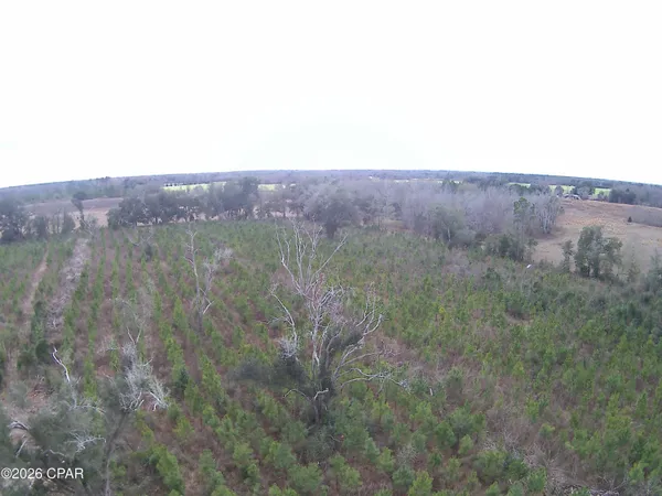 $68,100 | Tbd Lovewood Road, Cottondale, FL 32431