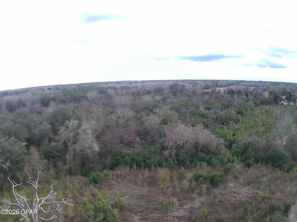 $68,100 | Tbd Lovewood Road, Cottondale, FL 32431