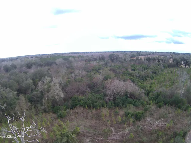 $80,812 | Tbd Lovewood Road, Cottondale, FL 32431