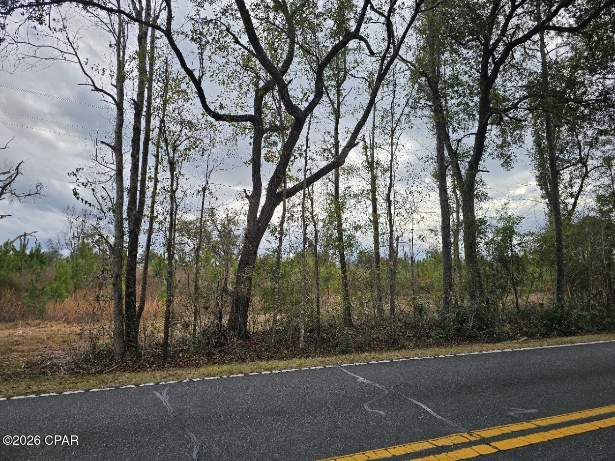 Tbd Lovewood Road Cottondale, FL 32431 - Photo 3 of 26