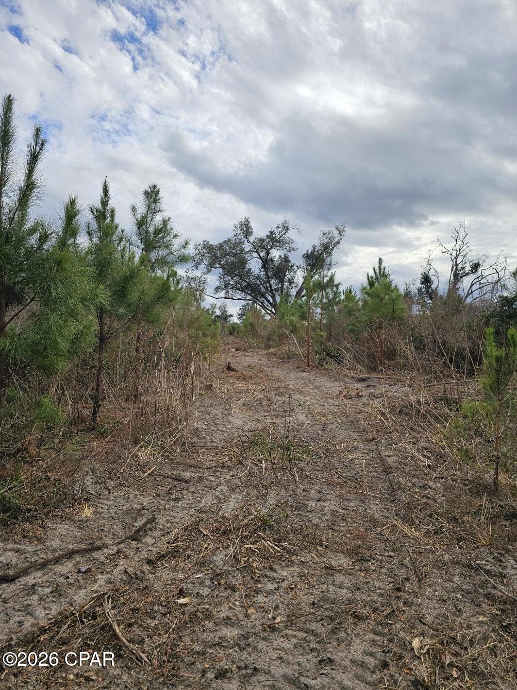 Tbd Lovewood Road Cottondale, FL 32431 - Photo 5 of 26