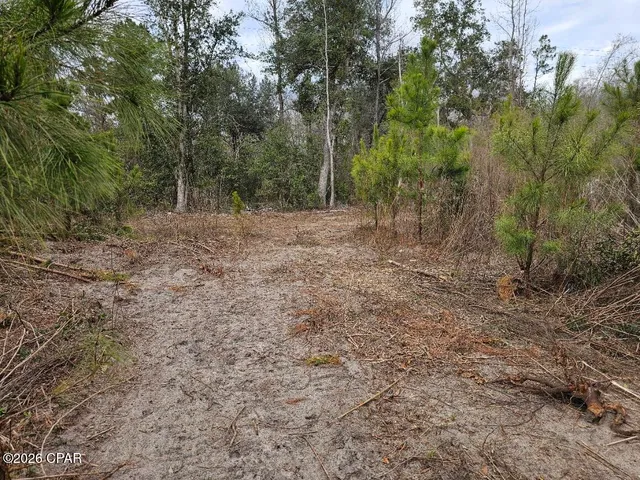 $80,812 | Tbd Lovewood Road, Cottondale, FL 32431