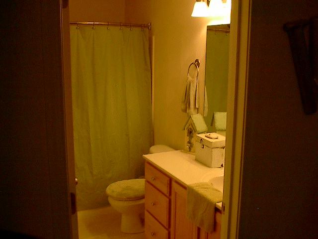 8713 Little Hoop Road Roanoke, VA 24019 - Photo 15 of 27 Master Suite Bath w/ Garden Tub & Shower
