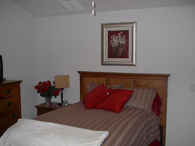 8713 Little Hoop Road Roanoke, VA 24019 - Photo 17 of 27 2nd Master Suite