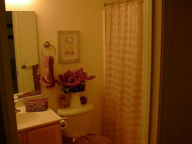 8713 Little Hoop Road Roanoke, VA 24019 - Photo 21 of 27 Entrance to Full Bath/2nd Master Suite