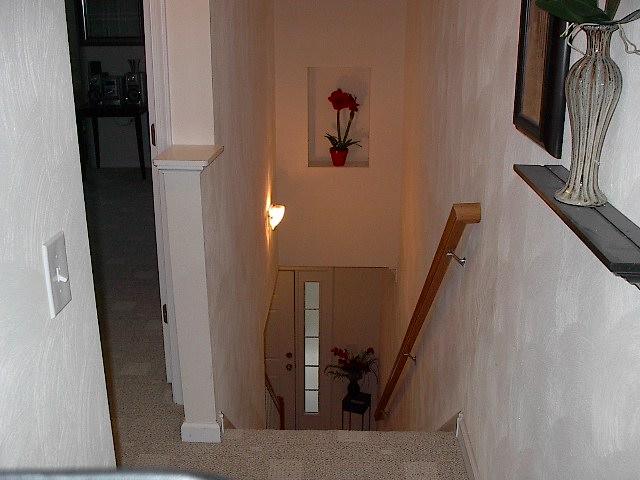 8713 Little Hoop Road Roanoke, VA 24019 - Photo 23 of 27 Staircase to Lower Level