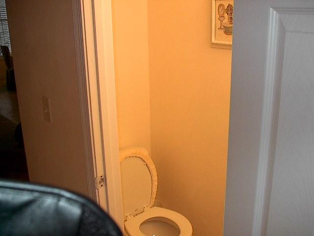 8713 Little Hoop Road Roanoke, VA 24019 - Photo 6 of 27 2nd View Half Bath on Entry Level