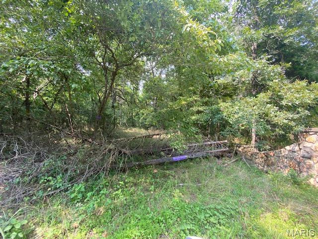 355 County Road 355 Caulfield, MO 65626 - Photo 11 of 12