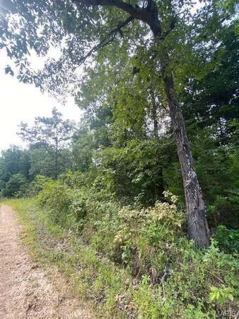 $49,900 | 355 County Road 355, Caulfield, MO 65626