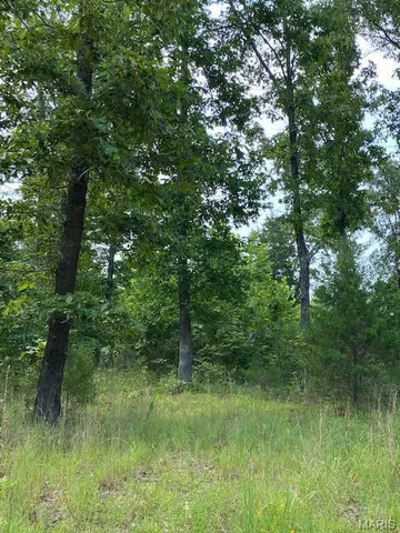 $49,900 | 355 County Road 355, Caulfield, MO 65626