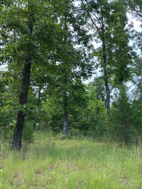 355 County Road 355 Caulfield, MO 65626 - Photo 4 of 12