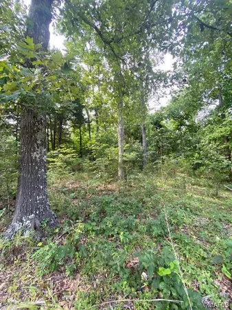 $49,900 | 355 County Road 355, Caulfield, MO 65626