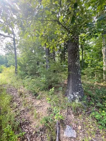 $49,900 | 355 County Road 355, Caulfield, MO 65626